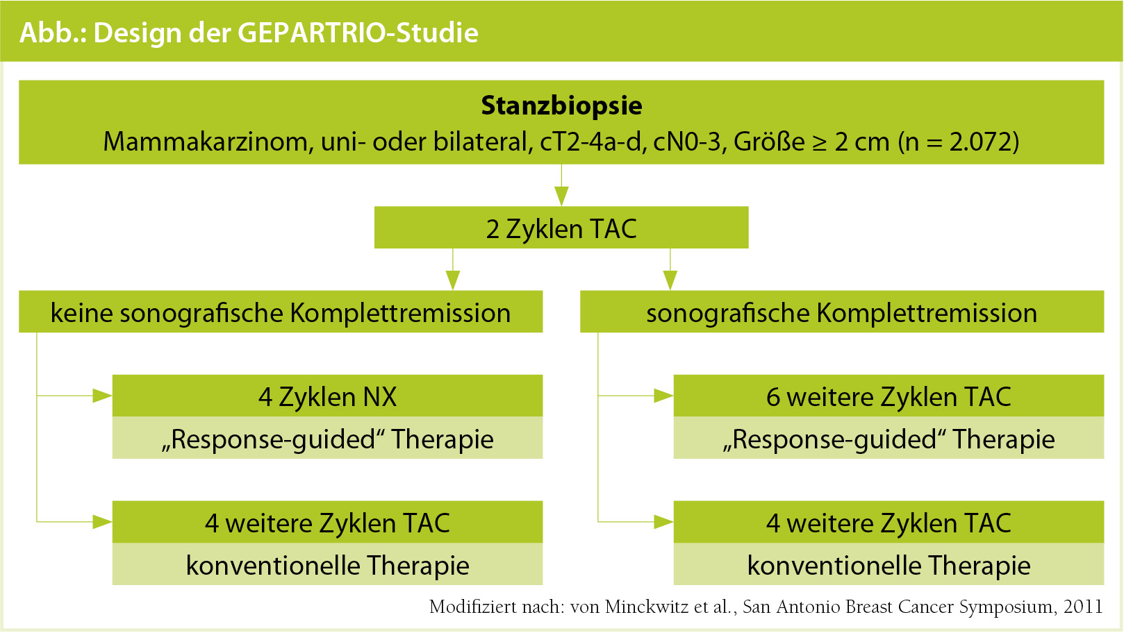 Therapie Und Überleben Nach Präoperativer Chemotherapie | Gyn-Aktiv ...